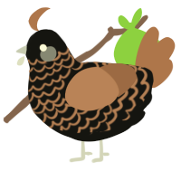 Hot chocolate, a black and brown chicken with a lace pattern