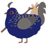Ablutophobia, a navy and grey chicken with a half-lace pattern