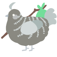 Kevin, a ash and silver chicken with a half-bar pattern