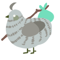 (unnamed), a silver and ash chicken with a bar pattern