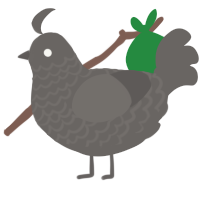 Grey, a grey chicken with a lace pattern