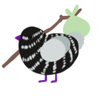 (unnamed), a sable and silver chicken with a bar pattern