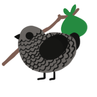 Cane, a grey and black chicken with a lace pattern