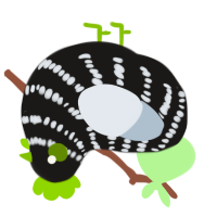 A sable and mist chicken with a bar pattern