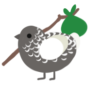 Spikerock, a grey and white chicken with a half-lace pattern