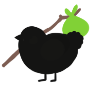 Shadow, a black chicken