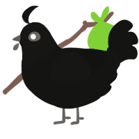 Coo, a black chicken with a head pattern