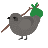 Pebble, a grey chicken with a lace pattern