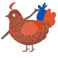 (unnamed), a russet and vermilion chicken with a lace pattern