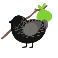 radio interference 1, a black and grey chicken with a half-lace pattern