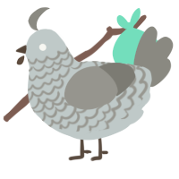 (unnamed), a silver and ash chicken with a lace pattern