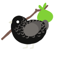 Valentines orphan, a black and grey chicken with a half-lace pattern