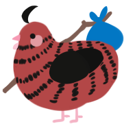 Poppy, a red and black chicken with a bar pattern