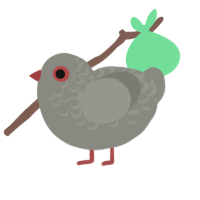 Diamond Dove, a ash chicken with a half-lace pattern