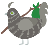 Willow Wisp, a grey and ash chicken with a bar pattern