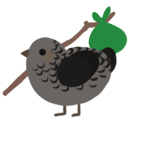 A grey and sable chicken with a half-lace pattern
