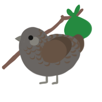 A grey and bark chicken with a half-lace pattern