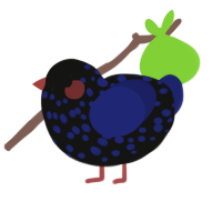 A black and navy chicken with a speckle pattern