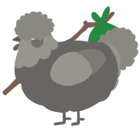 A grey and ash chicken with a head pattern