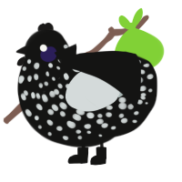 A black and silver chicken with a speckle pattern
