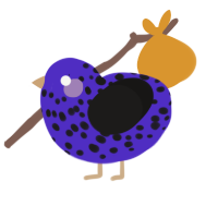 A indigo and sable chicken with a speckle pattern