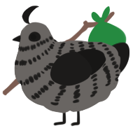 A grey and sable chicken with a bar pattern