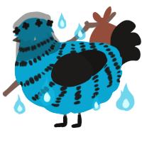 Neo, a cerulean and sable chicken with a bar pattern