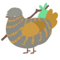 Paul, a ash and gold chicken with a bar pattern