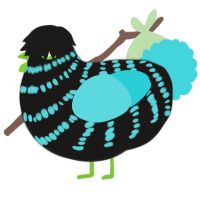 A sable and aqua chicken with a bar pattern