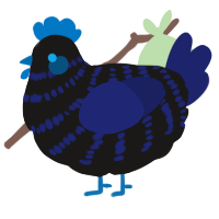 A sable and navy chicken with a bar pattern