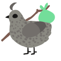 A ash and grey chicken with a speckle pattern