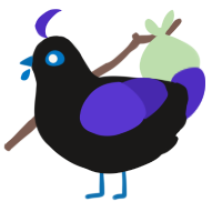 Nitesteria, a sable and indigo chicken