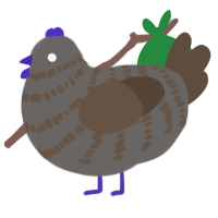 Autumn, a grey and bark chicken with a bar pattern