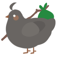 A grey chicken