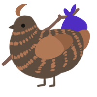 A bark and brown chicken with a bar pattern