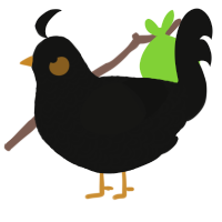 A black chicken with a double-lace pattern