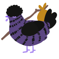 A overcast and black chicken with a bar pattern