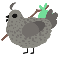 A ash and grey chicken with a speckle pattern