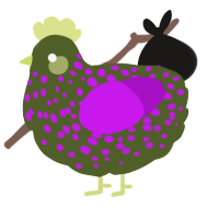 A olive and amethyst chicken with a speckle pattern