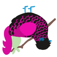 into the night, a sable and fuchsia chicken with a lace pattern