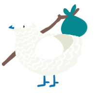 A white chicken with a lace pattern