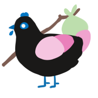 (unnamed), a sable and pink chicken