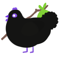 A black chicken