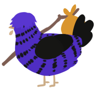 Stary night, a indigo and black chicken with a bar pattern