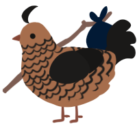 A brown and sable chicken with a lace pattern