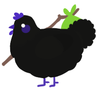 A black chicken with a head pattern