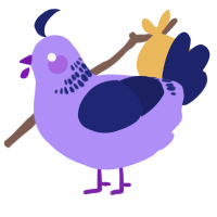 A lilac and navy chicken with a neck-band pattern