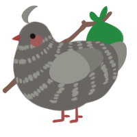A grey and ash chicken with a bar pattern
