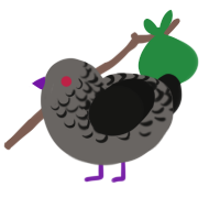 A grey and black chicken with a half-lace pattern