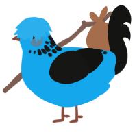 A sky and black chicken with a neck-speckle pattern